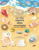 Copertina  La vita segreta delle conchiglie
